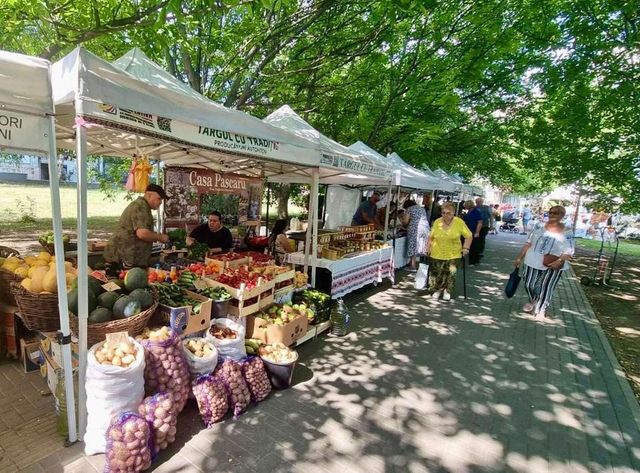 VIDEO Premierul Tofan cere mai puțină birocrație pentru micii producători și antreprenorii artizanali