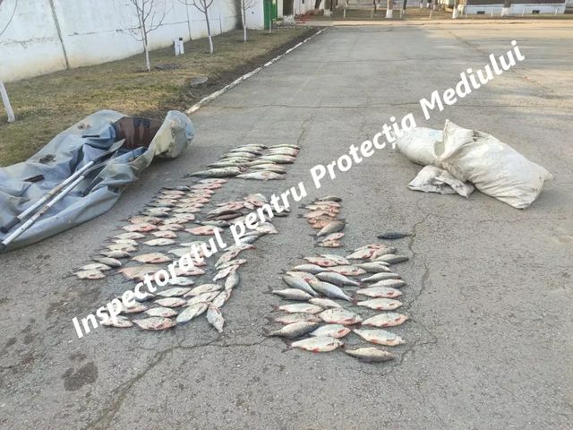 Braconaj piscicol depistat în flagrant pe lacul Costești–Stânca