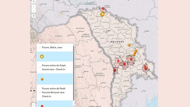 Două focare de pestă porcină africană și patru cazuri de rabie au fost înregistrate în Republica Moldova în februarie
