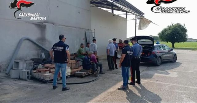 Carabinierii din Mantova au destructurat o rețea care exploata muncitori moldoveni în ferme de pepeni și dovleci