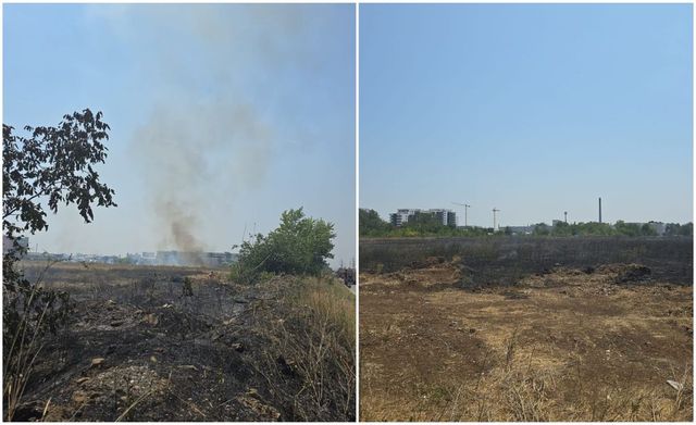 Incendiu de vegetație în Chiajna, județul Ilfov. Pompierii intervin cu 8 autospeciale