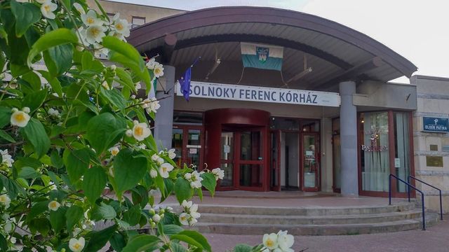 Ágyi poloskák miatt kellett kiüríteni a veszprémi kórház gyermekágyas részlegét