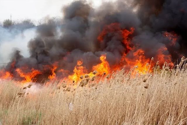 Cod galben de pericol de incendiu în Republica Moldova, valabil până pe 22 iulie