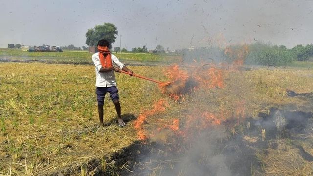 Silent spectators: Top court raps Delhi air quality panel, asks what steps have been taken to curb pollution