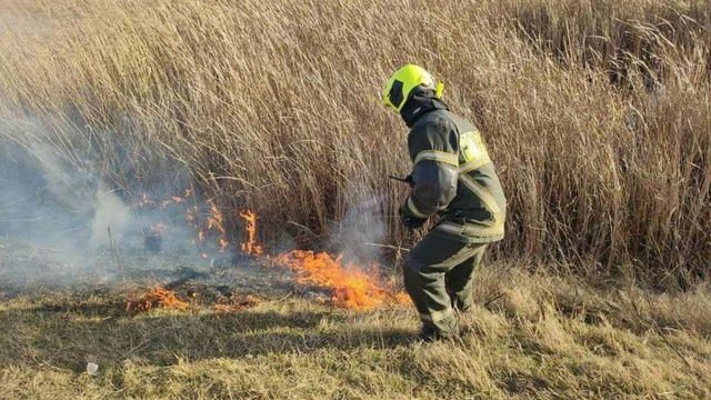Incendii de vegetație în mai multe raioane ale țării