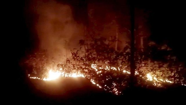 Indian Army puts out forest fire in Himachal Pradesh’s Kasauli