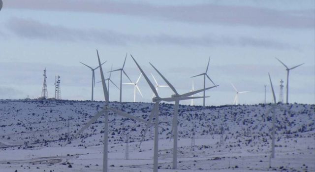 La caída de la eólica por el temporal obliga a Red Eléctrica a activar paradas puntuales en la gran industria