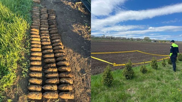 Zeci de obuze din al Doilea Război Mondial, descoperite în raionul Ialoveni