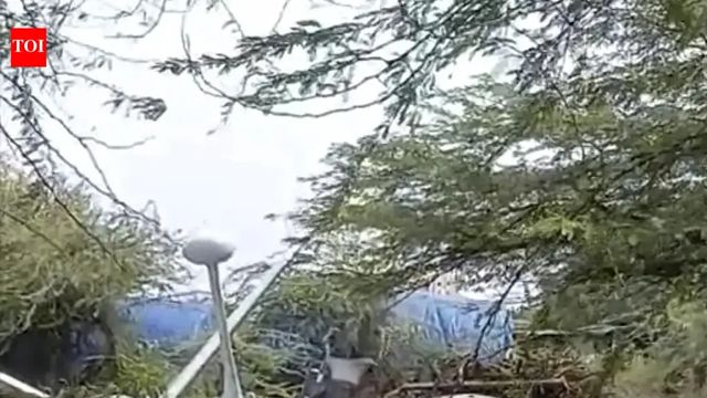 What caused the Indian Navy’s Drishti-10 drone to crash near Porbandar?
