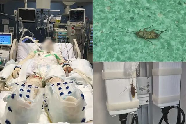 Ministrul Sănătății a trimis Corpul de control la Spitalul Floreasca