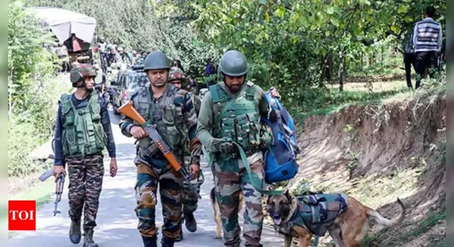 Exchange Of Fire Between Security Forces, Terrorists In Jammu And Kashmirs Kupwara