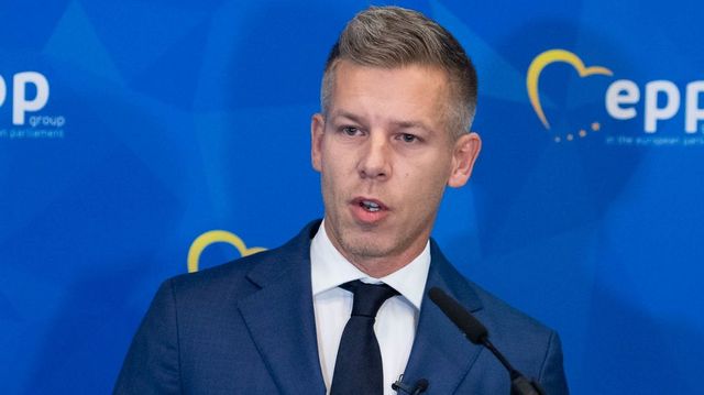 Nem dobozos sörrel, hanem szotyival akarta megdobni Magyar Pétert egy férfi