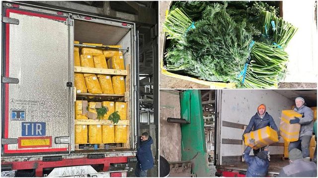 ANSA a retras și nimicit 15 tone de mărar de import contaminat cu pesticide
