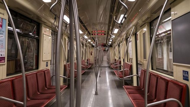 Vaddisznót gázolt a metró a Kossuth téren, felborult a közlekedés - videó