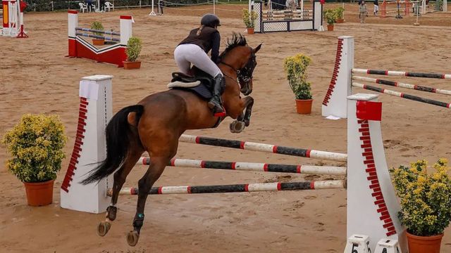 Muere una joven amazona al caer de un caballo durante un entrenamiento