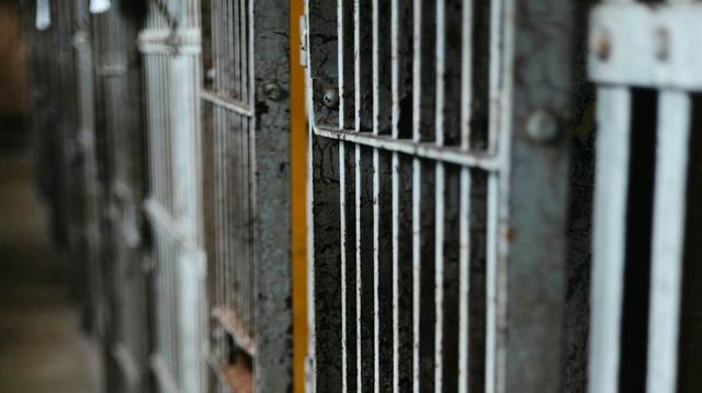 Delhi: Gangster found dead in Mandoli Jail, officials suspect suicide