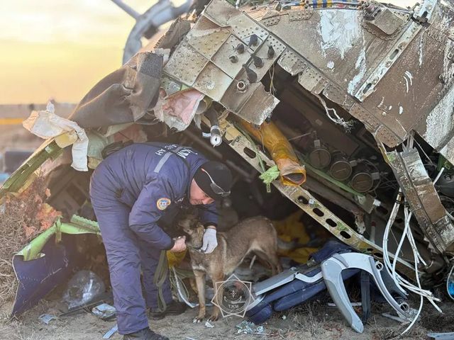 Președintele Azerbaidjanului acuză Rusia pentru doborârea avionului în ziua de Crăciun