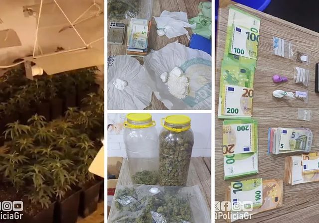 Precintado un local de comida rápida en Granada con insectos y droga en la trastienda