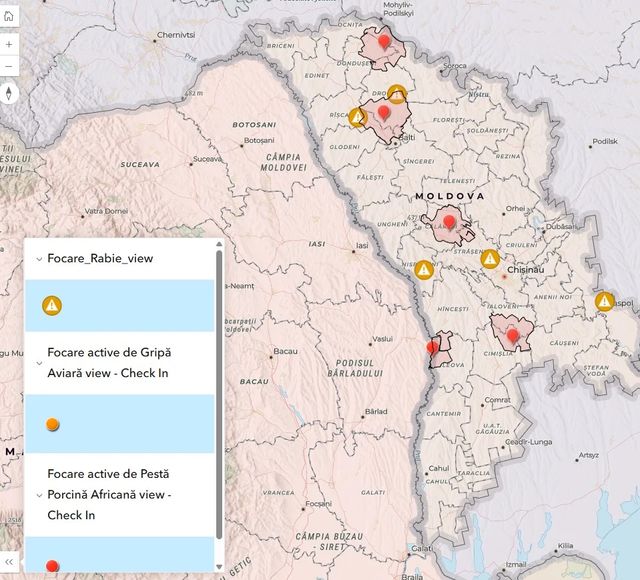 Focare de pestă porcină africană și rabie au fost confirmate în mai multe raioane din țară