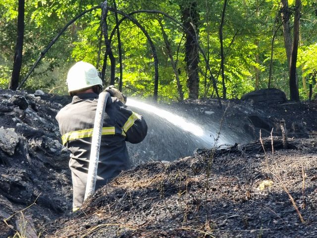 Голям пожар пламна между варненските села Игнатиево и Доброглед