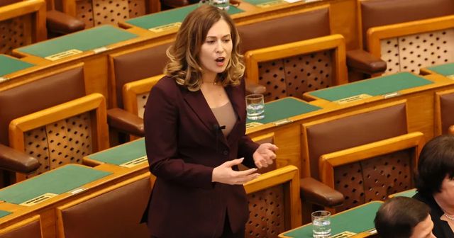 Kizárták Cseh Katalint a Momentum parlamenti frakciójából