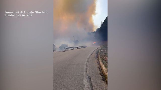 Incendio nella pineta a Camerota, in azione Canadair