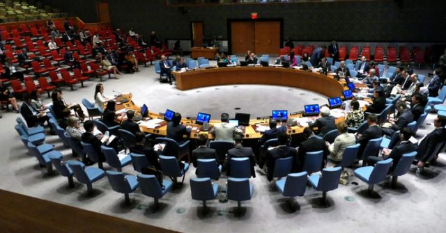 Rada bezpečnosti OSN schválila rezoluci o příměří, Rusko se zdrželo hlasování