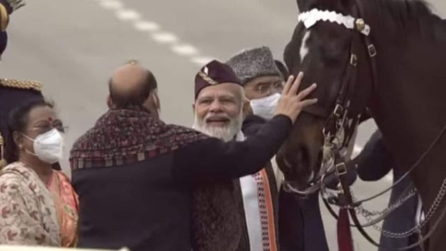 President’s bodyguard horse, Virat retires