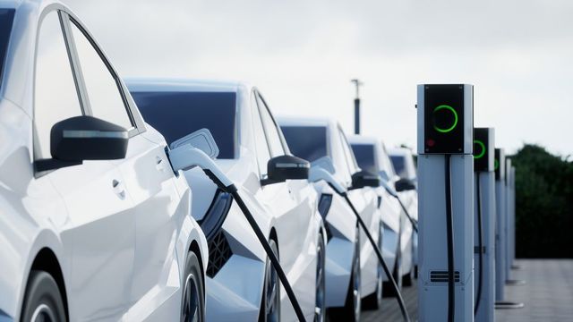 Antitrust, avviate istruttorie su auto elettriche Byd, Stellantis, Tesla e Volkswagen