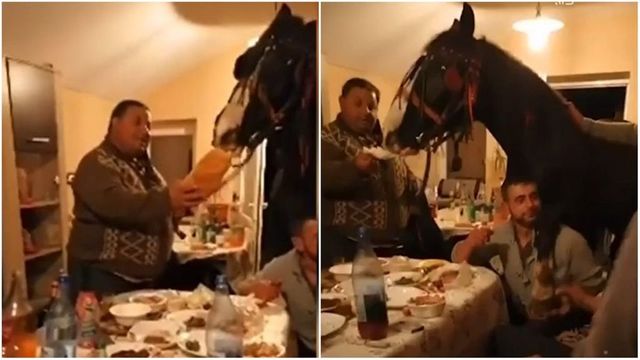 Petrecăreții care s-au filmat cu un cal la masă, în sufragerie, amendați de polițiști