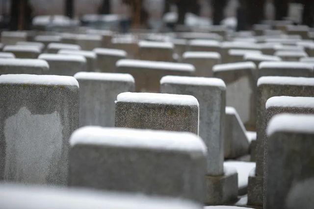 Monumente funerare răsturnate în cimitirul evreiesc din Reghin. Poliția a deschis dosar penal