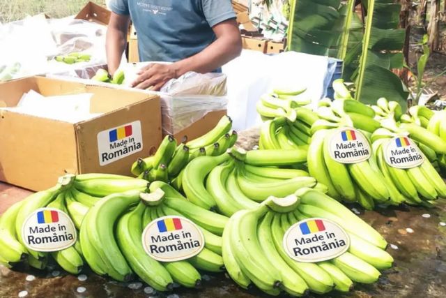 Cum a ajuns România să exporte sute de camioane de banane