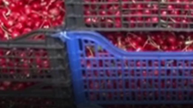 Cireșele din Spania au ajuns în România. Cât costă un kilogram în piețele din Sibiu