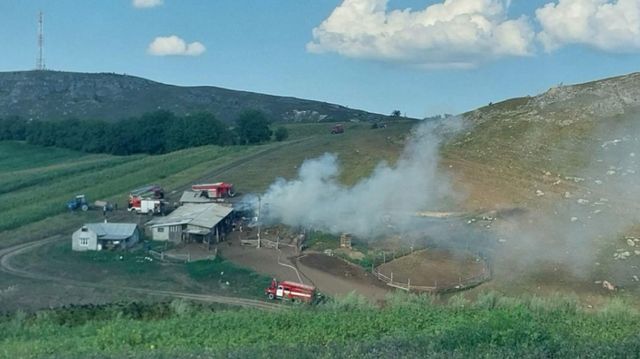 Incendiu la o stână din Briceni: Pompierii au salvat peste 200 de animale