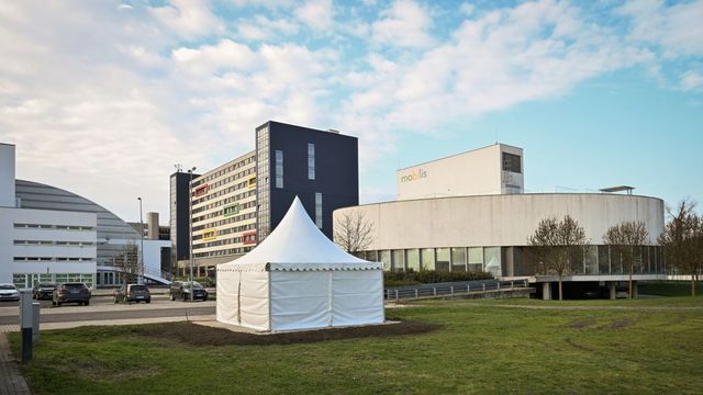 Egy egyetemi vagyonkezelő alapítványt már elért a csőd