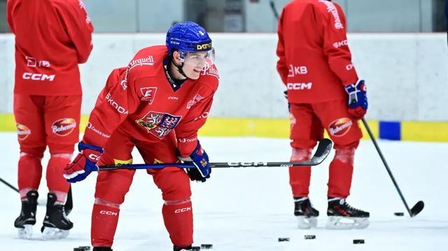 Šalková v Rouenu na čtvrtfinále nedosáhla, podlehla německé veteránce