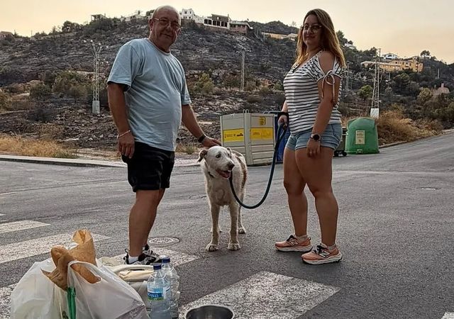 Los primeros evacuados del incendio en volver a la Vall d'Uixó (Castellón): «Huele todo a humo. Tendré que dormir con mascarilla»
