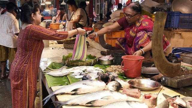 Bangladesh Revokes Hilsa Export Ban, Approves 3,000 Tonne Shipment To India Ahead of Durga Puja