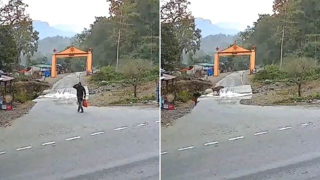 Watch: Man Comes Face-to-Face with Tiger In Corbett National Park