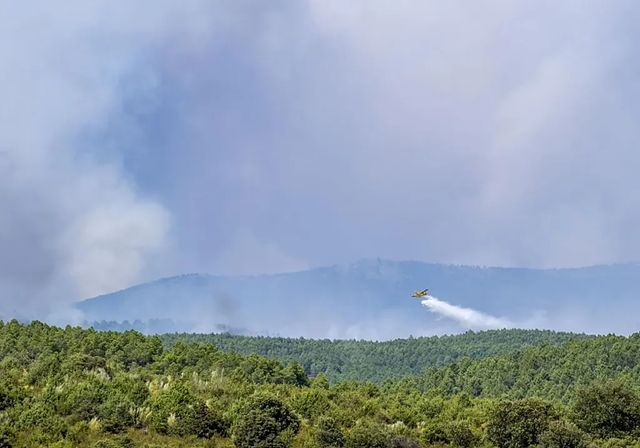 Page vaticina que incendio La Mierla superará las 26.000 hectáreas quemadas