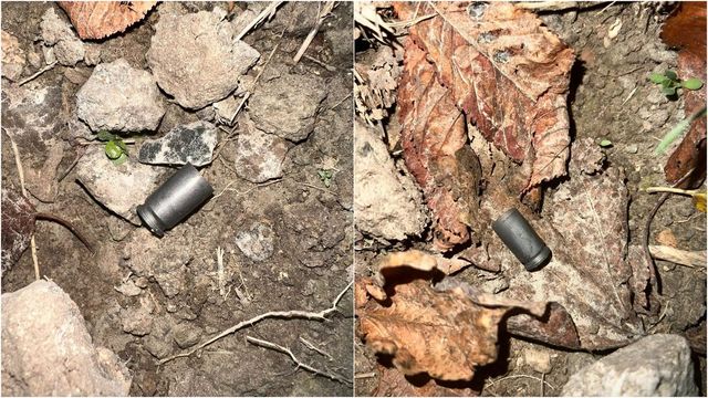 Focuri de armă, în fața casei primarului de Leova