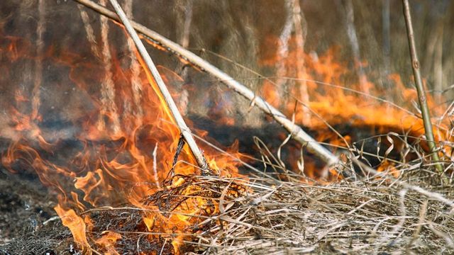 Гори защитена местност край Дунав