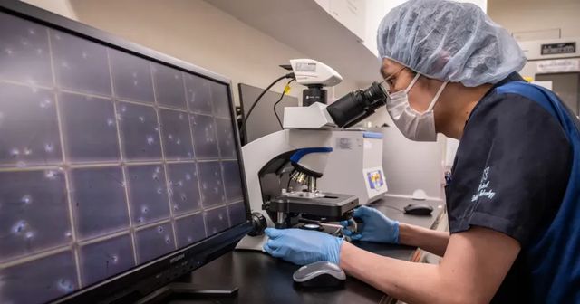 Dona sperma con gene cancerogeno, 200 bimbi a rischio in Europa