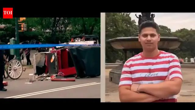 Bill seeking to ban horse carriages in New York city renamed after Indian teen killed in Central Park incident