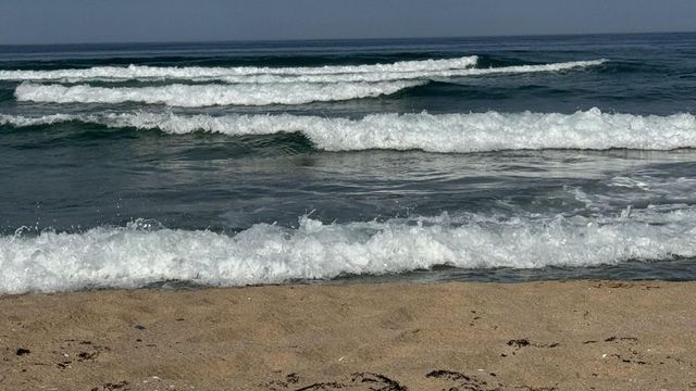 Тяло на мъж е открито тази сутрин в морето в района на варненския кораборемонтен завод