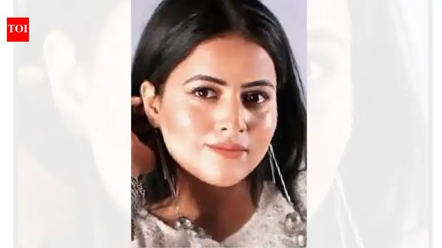 Punjabi singer shot in car, body found in canal