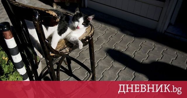 Предимно слънчево ще е днес, с температури до 12°