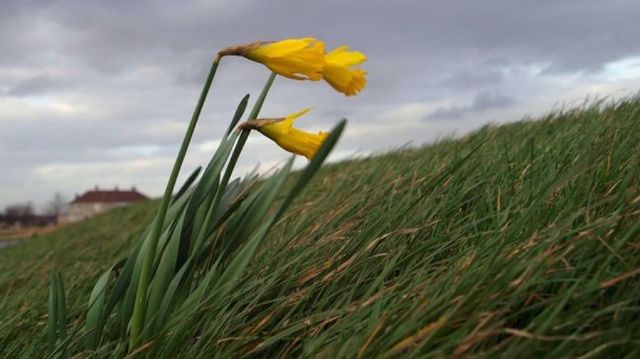 Cod galben de vânt puternic emis pentru Moldova