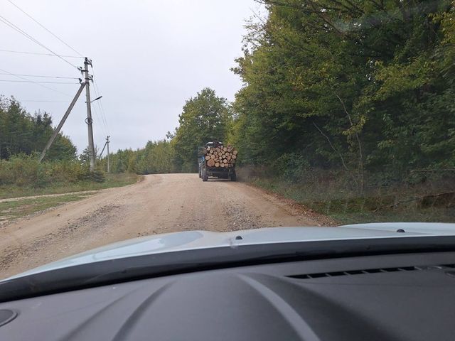 Amenzi de peste 17 mii de lei pentru transport ilegal de lemn la Nisporeni
