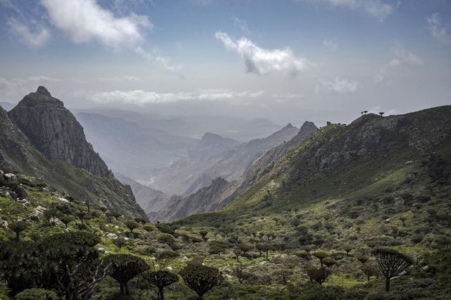 Yemen, 400 turisti bloccati a Socotra. Oltre 80 gli italiani